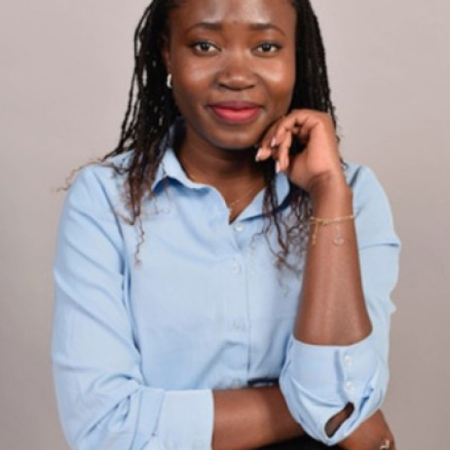 La gouvernance Martine DIOUF Juriste IT Data 1