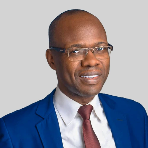 FIPDCP PANELISTES Julien C. HOUNKPE