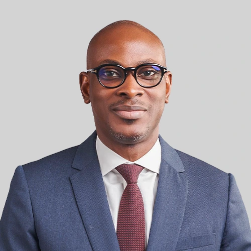 FIPDCP PANELISTES M. Marc Andre LOKO